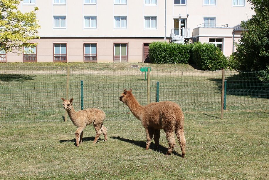 Campanile Val De France Hotel Magny-le-Hongre Bagian luar foto