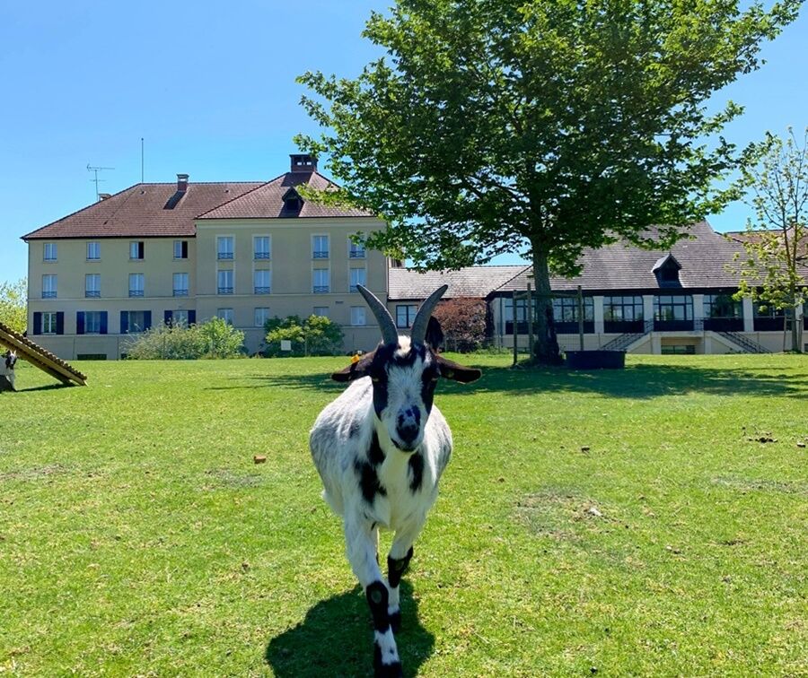 Campanile Val De France Hotel Magny-le-Hongre Bagian luar foto